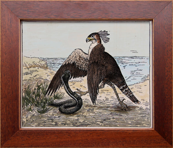Hawk & Cobra Art Print