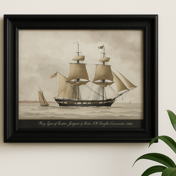 Brig Lynx, 1828 – Vintage Nautical Ship Art Print