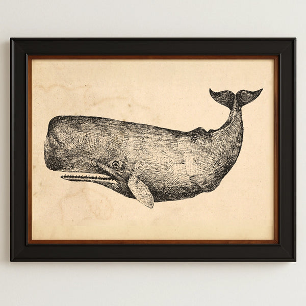 Framed artwork of a whale on beige paper with a black frame.
