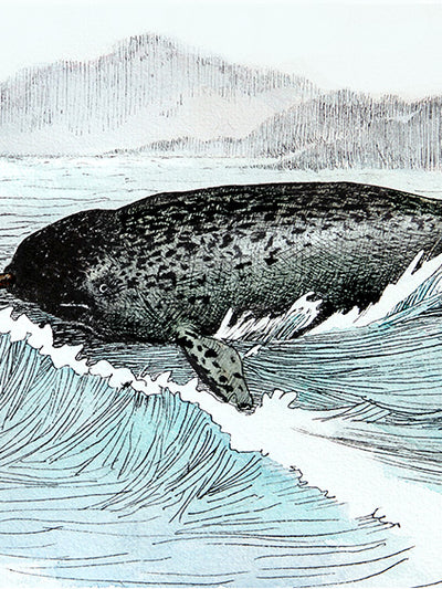 Narwhal Watercolor Art Print – Signed, 8x10 Archival Edition"