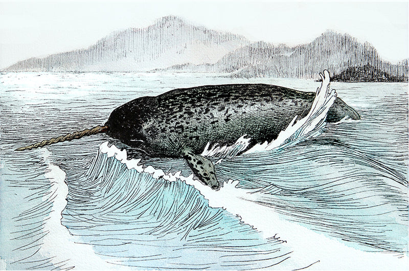 Narwhal Watercolor Art Print – Signed, 8x10 Archival Edition"