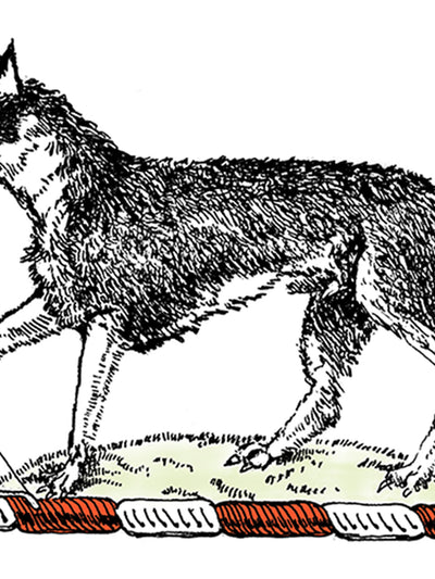 Wolf Heraldic Art Print – Medieval Coat of Arms with Bow & Arrow