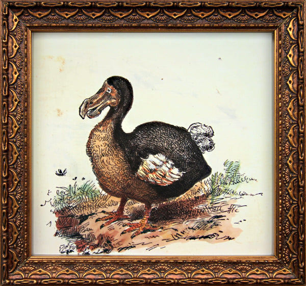 dodo bird