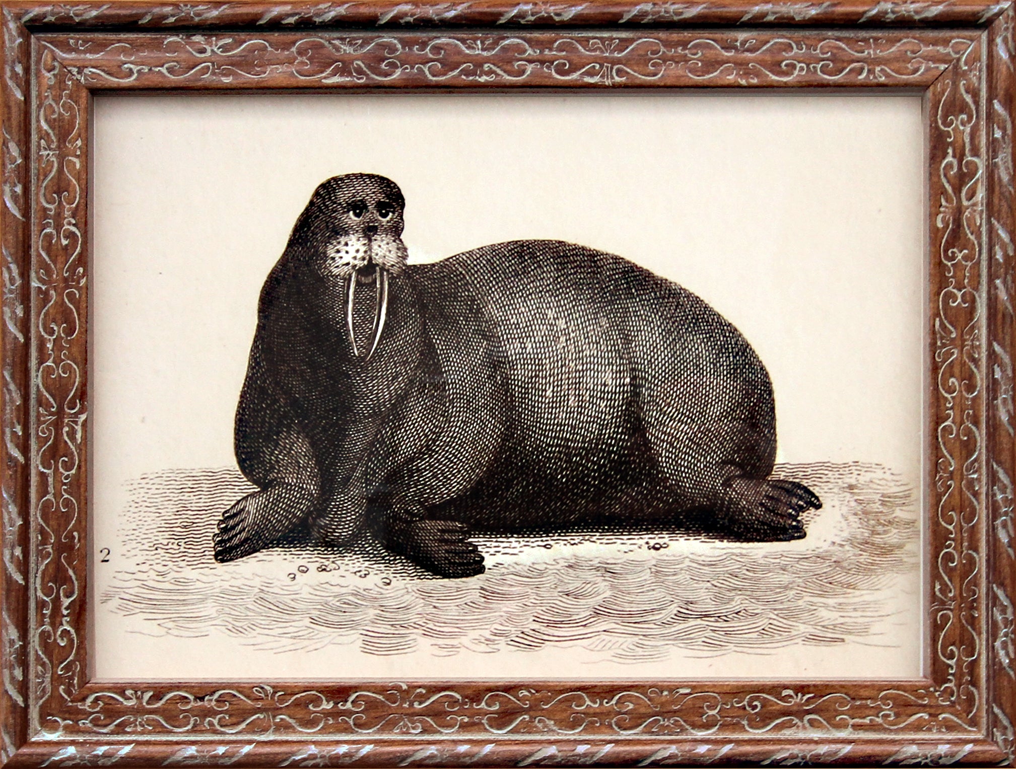 I am the Walrus Art Print