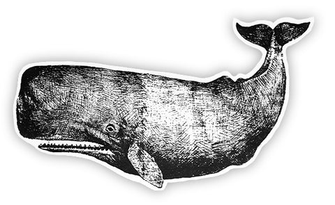 Ahoy - Cut Out Whale